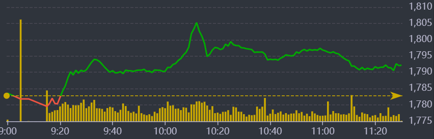 Diễn biến VN-Index sáng nay.