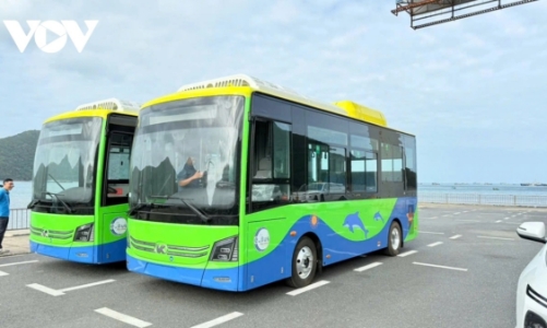 First electric bus line inaugurated in Con Dao Special Zone