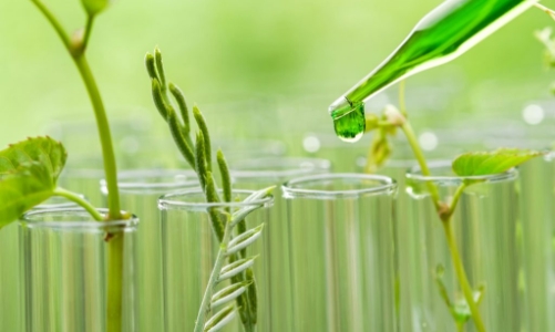 Thiếu cơ chế khuyến khích doanh nghiệp hoá chất chuyển đổi xanh