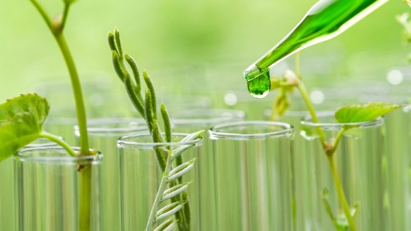 Thiếu cơ chế khuyến khích doanh nghiệp hoá chất chuyển đổi xanh