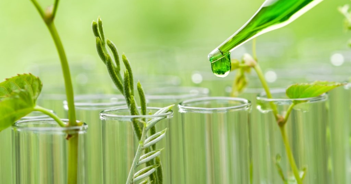 Thiếu cơ chế khuyến khích doanh nghiệp hoá chất chuyển đổi xanh