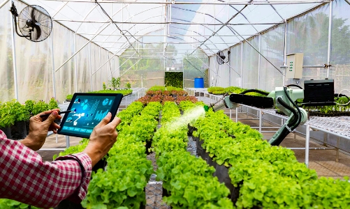 Thanh Hóa đẩy mạnh thu hút dòng vốn nông nghiệp công nghệ cao