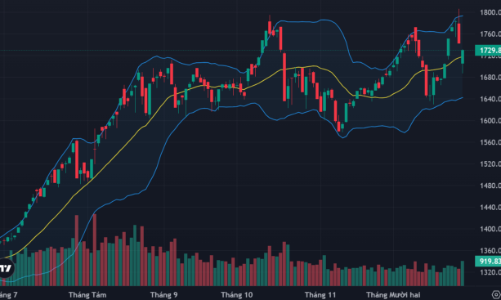 Dòng tiền bắt đáy xuất hiện, thanh khoản cao nhất 40 phiên