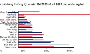 Lợi nhuận năm 2025: Cán đích thành công, nhóm Năng lượng 