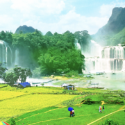 Đề xuất quy hoạch Khu du lịch Thác Bản Giốc hướng tới trở thành điểm du lịch quốc tế