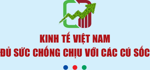 VnEconomy