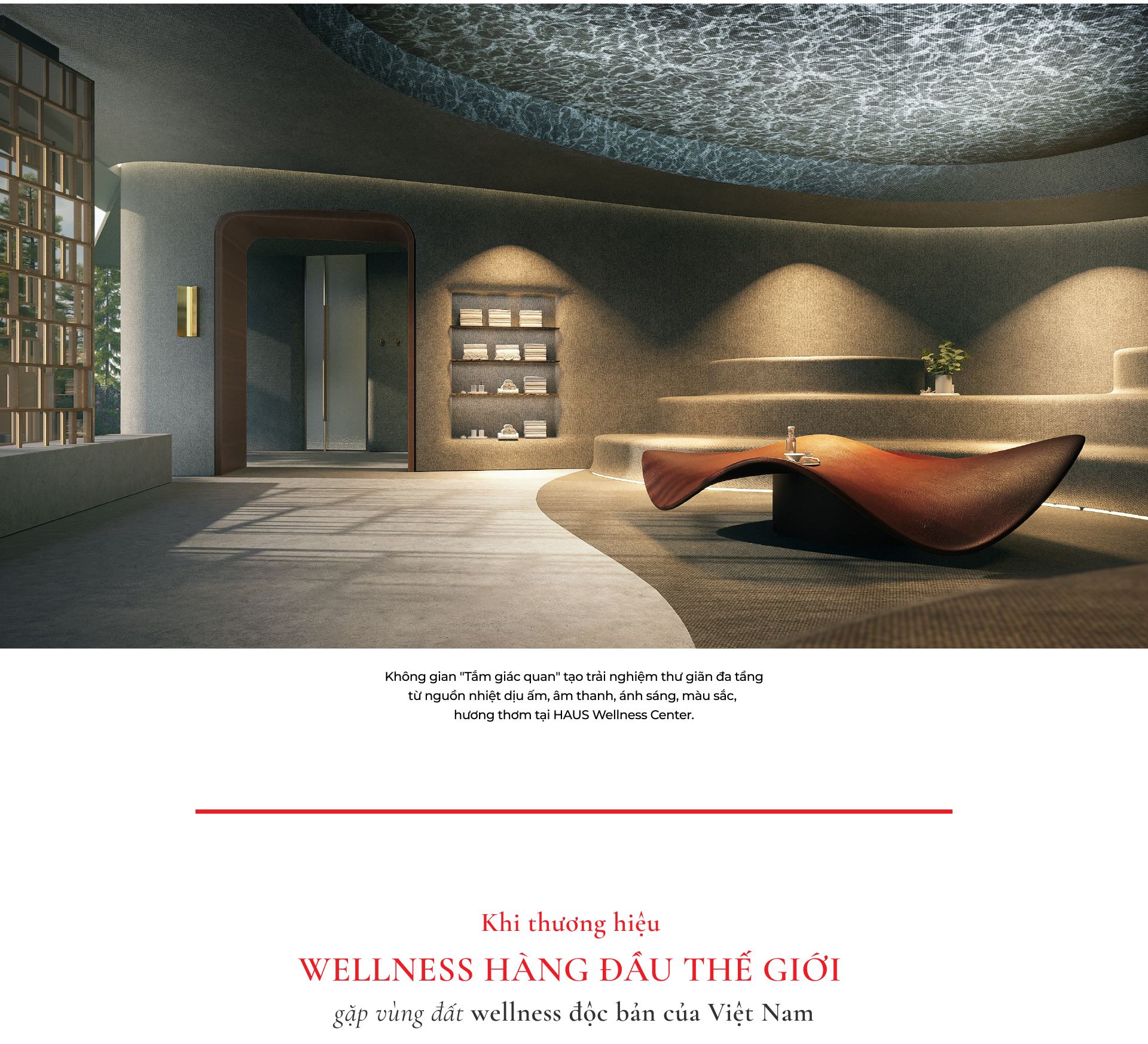 Trung tâm wellness toàn diện đầu tiên Việt Nam được tư vấn vận hành bởi Chiva-Som - Ảnh 2