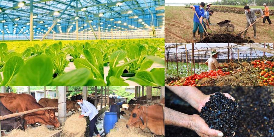 Sự chuyển mình ứng dụng <span class=