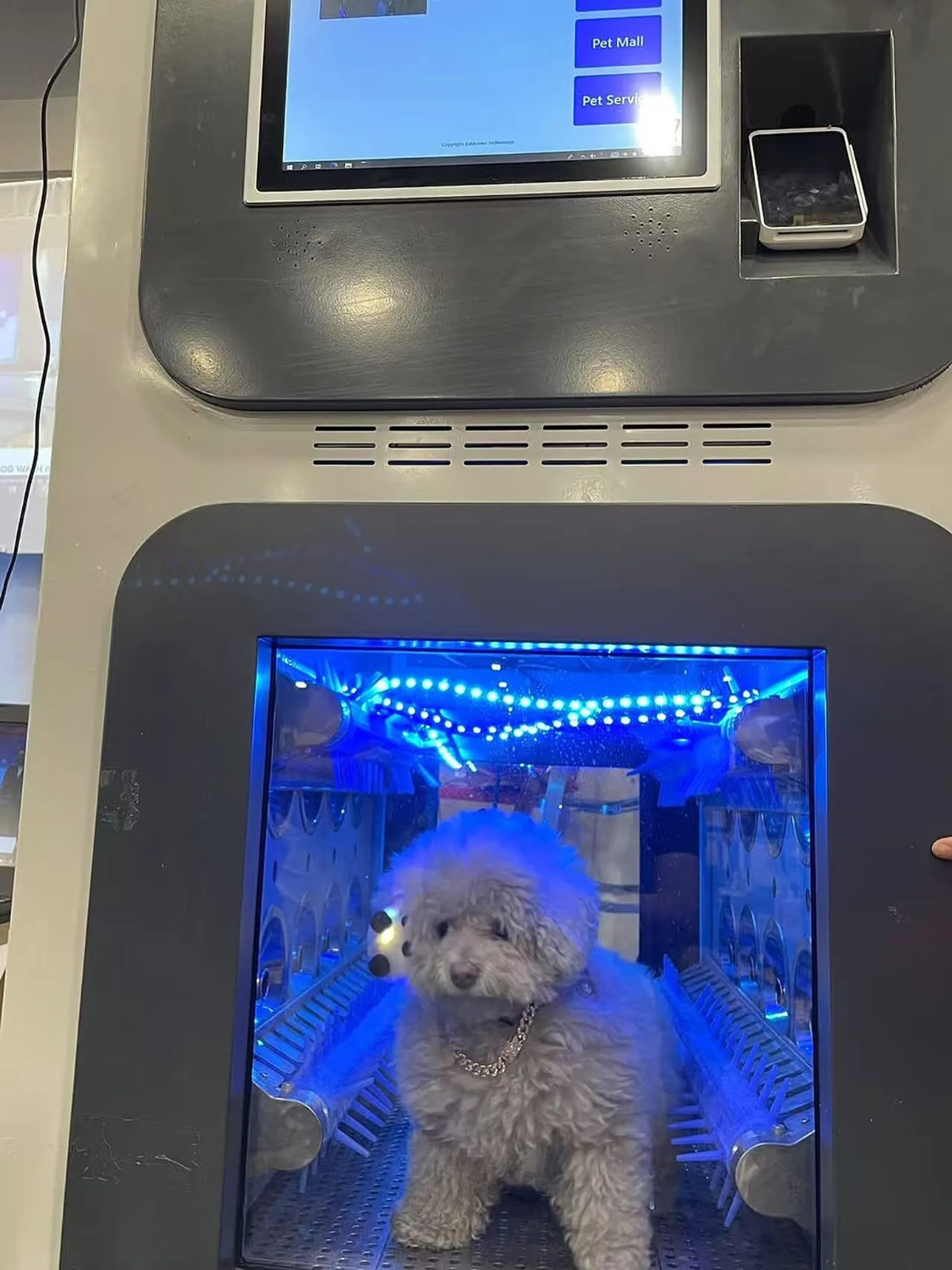 Woofwoof Lux giới thiệu máy giặt thú cưng