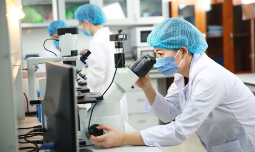 Việt Nam đặt mục tiêu có 7–10 tổ chức nghiên cứu công nghệ công lập trong top 30% thế giới