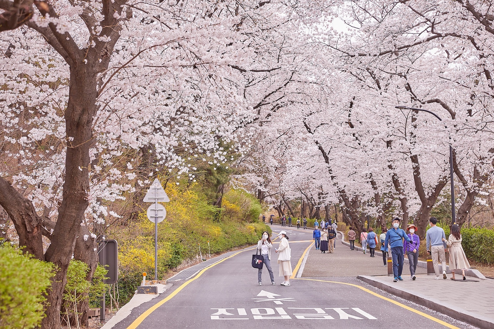 Tiềm năng phát triển du lịch giữa Hàn Quốc và Việt Nam vẫn còn rất lớn.