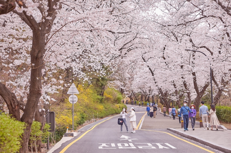 Tiềm năng phát triển du lịch giữa Hàn Quốc và Việt Nam vẫn còn rất lớn.