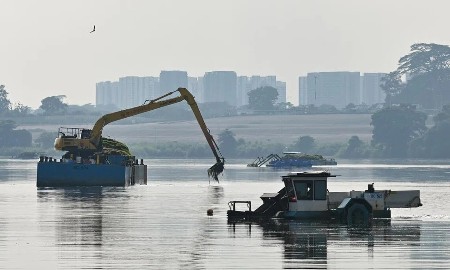 Singapore triển khai trang trại điện mặt trời nổi bao phủ hơn một phần ba hồ chứa Lower Seletar vào năm 2029