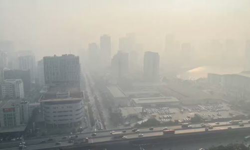 WHO: Bệnh phổi đe dọa tăng trưởng kinh tế Đông Nam Á