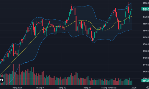 Vốn ngoại đột ngột đua giá, thị trường phục hồi diện rộng