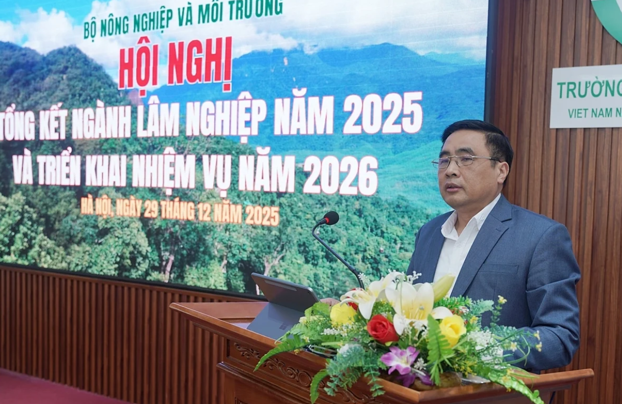 Thứ trưởng Nguyễn Quốc Trị: lâm nghiệp không phải là ngành “giữ nhịp” hay tăng trưởng thấp, mà đang sở hữu dư địa đáng kể để bứt lên...