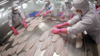 Vietnam's 2025 tra fish exports expected to hit $2.2 bln