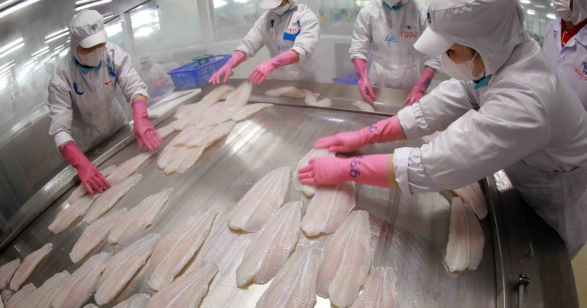 Vietnam's 2025 tra fish exports expected to hit $2.2 bln - VnEconomy