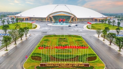 National Expo Steering Committee established