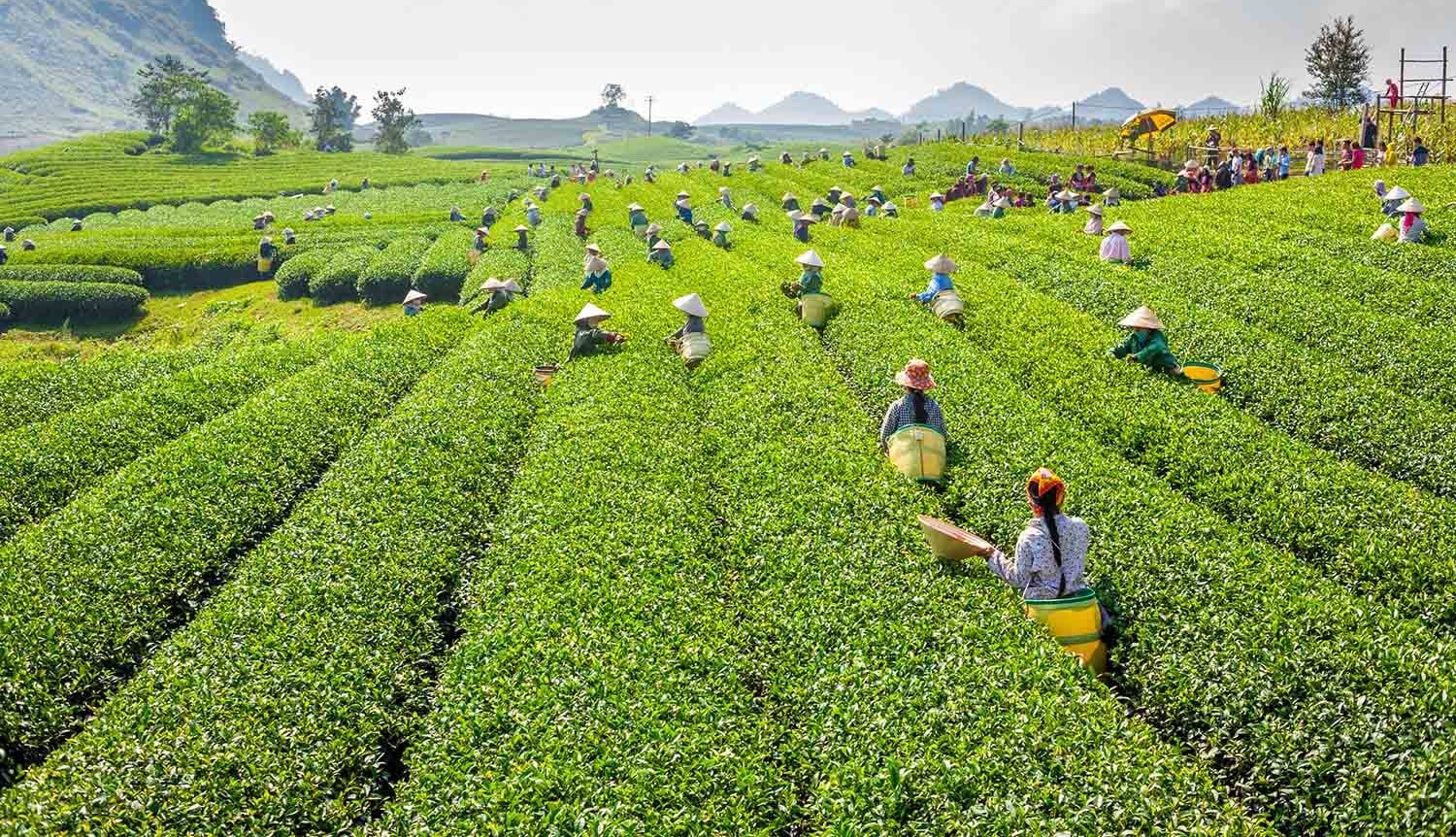 Kỳ nghỉ Tết Dương lịch được xem là “bước chạy đà” quan trọng cho mùa cao điểm du lịch đầu năm.
