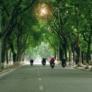 Hà Nội phấn đấu trồng mới hơn 400.000 cây xanh trong năm 2026