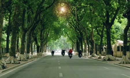 Hà Nội phấn đấu trồng mới hơn 400.000 cây xanh trong năm 2026