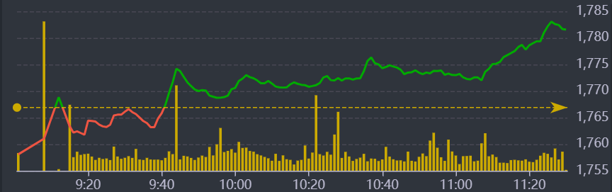 Diễn biến VN-Index sáng nay.