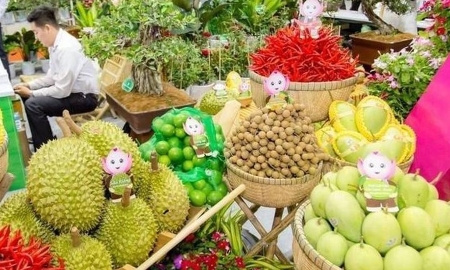 Xuất khẩu rau quả năm 2025 đạt 8,5-8,6 tỷ USD, vượt xa dự báo.