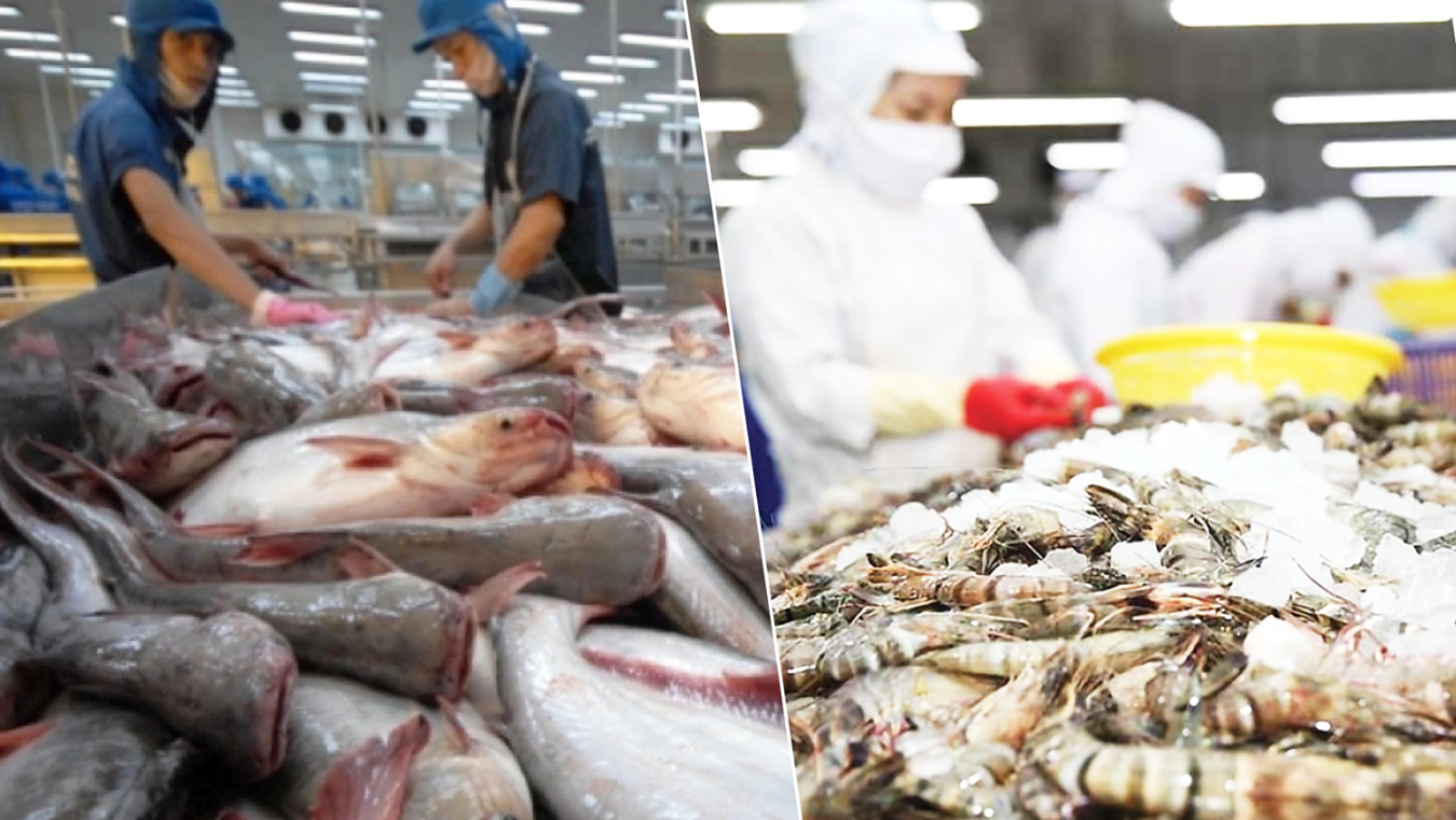 Xuất khẩu thuỷ sản năm 2025 bứt phá, đạt kim ngạch 11,34 tỷ USD.
