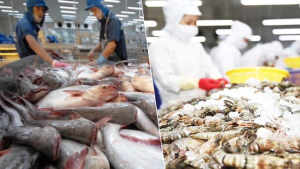 Xuất khẩu thủy sản cán đích 11,34 tỷ USD nhờ “xoay trục” thị trường