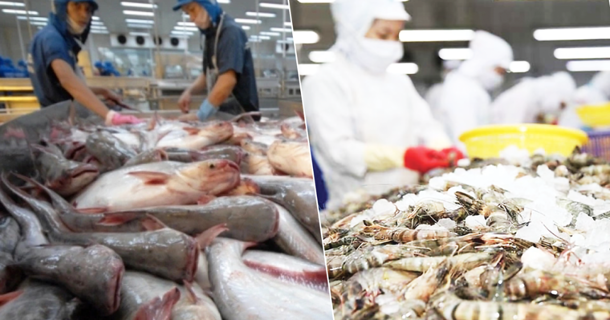 Xuất khẩu thủy sản cán đích 11,34 tỷ USD nhờ “xoay trục” thị trường