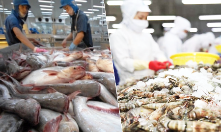 Xuất khẩu thuỷ sản năm 2025 bứt phá, đạt kim ngạch 11,34 tỷ USD.