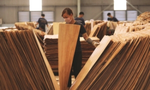 Hoa Kỳ hoãn tăng thuế gỗ: Điều chỉnh không liên quan đến cơ chế thuế đối ứng