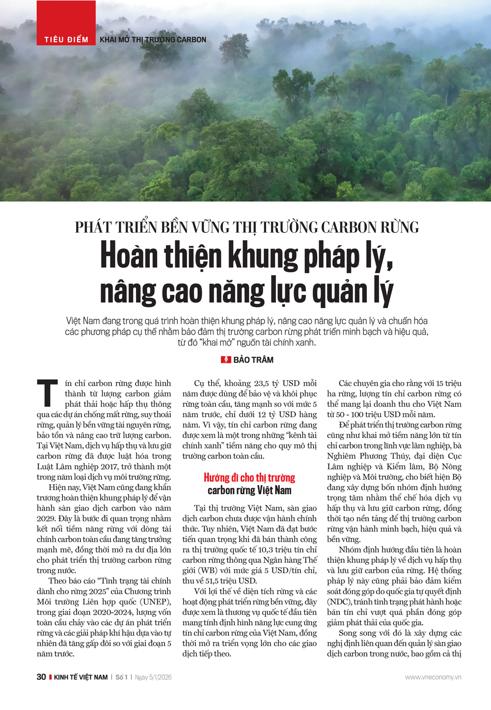 Phát triển bền vững thị trường carbon rừng: Hoàn thiện khung pháp lý, nâng cao năng lực quản lý  - Ảnh 1
