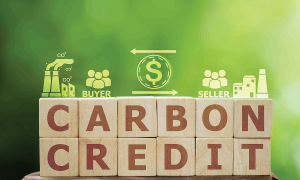 Tạo hành lang pháp lý đầy đủ để phát triển thị trường carbon 