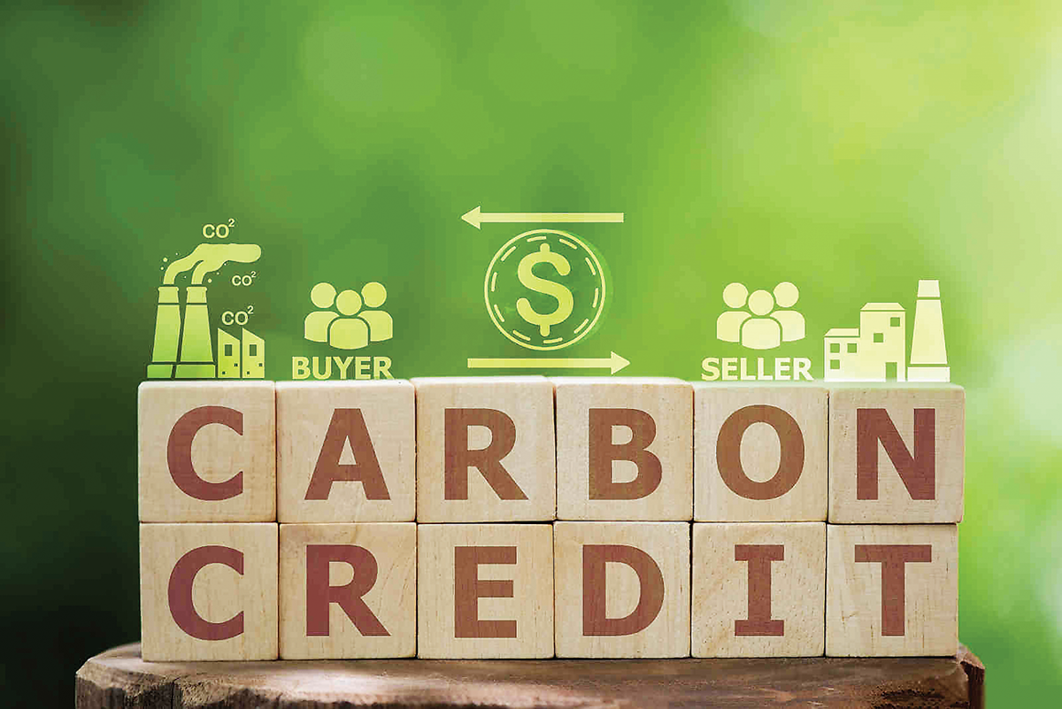 Thị trường carbon đang trở thành một công cụ quan trọng trong nỗ lực giảm phát thải khí nhà kính toàn cầu.