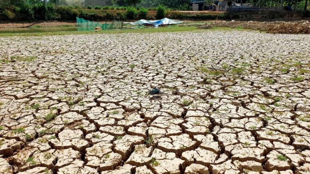 Chương trình hành động quốc gia chống sa mạc hóa được triển khai trên phạm vi các vùng đất nông – lâm nghiệp bị sa mạc hóa trên cả nước, trong đó ưu tiên khắc phục các loại hình thoái hóa đất điển hình ở 4 vùng. Ảnh minh họa