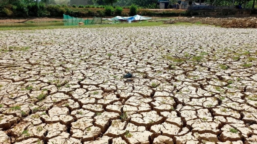 Chương trình hành động quốc gia chống sa mạc hóa được triển khai trên phạm vi các vùng đất nông – lâm nghiệp bị sa mạc hóa trên cả nước, trong đó ưu tiên khắc phục các loại hình thoái hóa đất điển hình ở 4 vùng. Ảnh minh họa