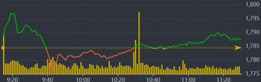 Diễn biến VN-Index sáng nay.