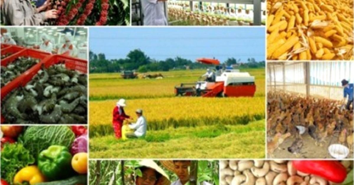 Sản xuất nông nghiệp năm 2025 tăng trưởng bứt phá, ấn tượng nông lâm thủy sản