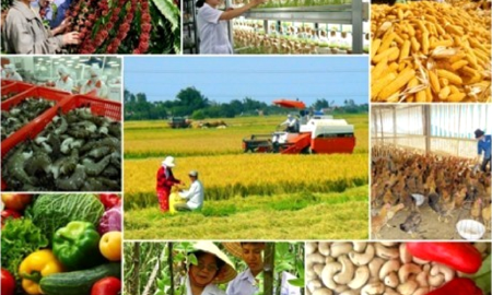 Sản xuất nông lâm ngư nghiệp tiếp tục tăng mạnh, đáp ứng nhu cầu lương thực, thực phẩm trong nước và phục vụ xuất khẩu..
