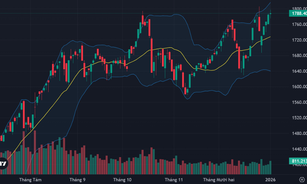 Nản vì thị trường “xanh vỏ”, áp lực bán tăng mạnh, cổ phiếu giảm sâu hàng loạt