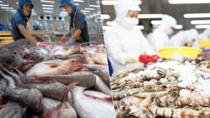 Vietnam's 2025 seafood exports hit $11.34 billion