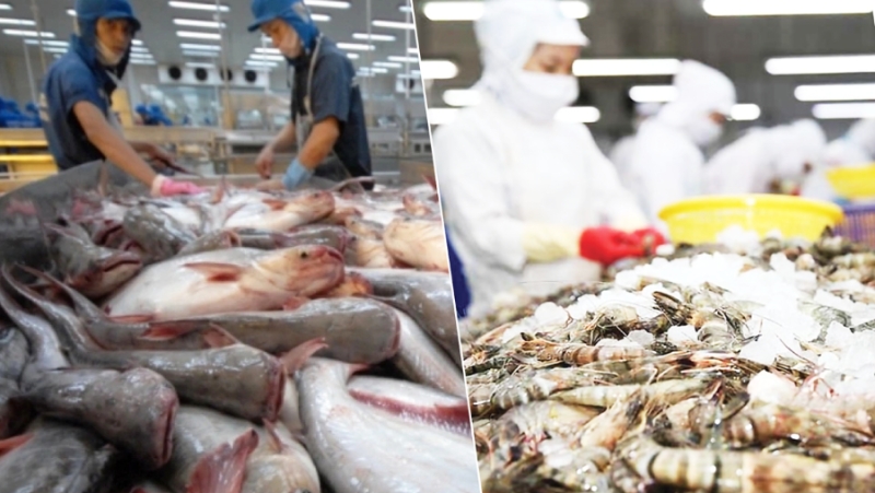 Vietnam's 2025 seafood exports hit $11.34 billion