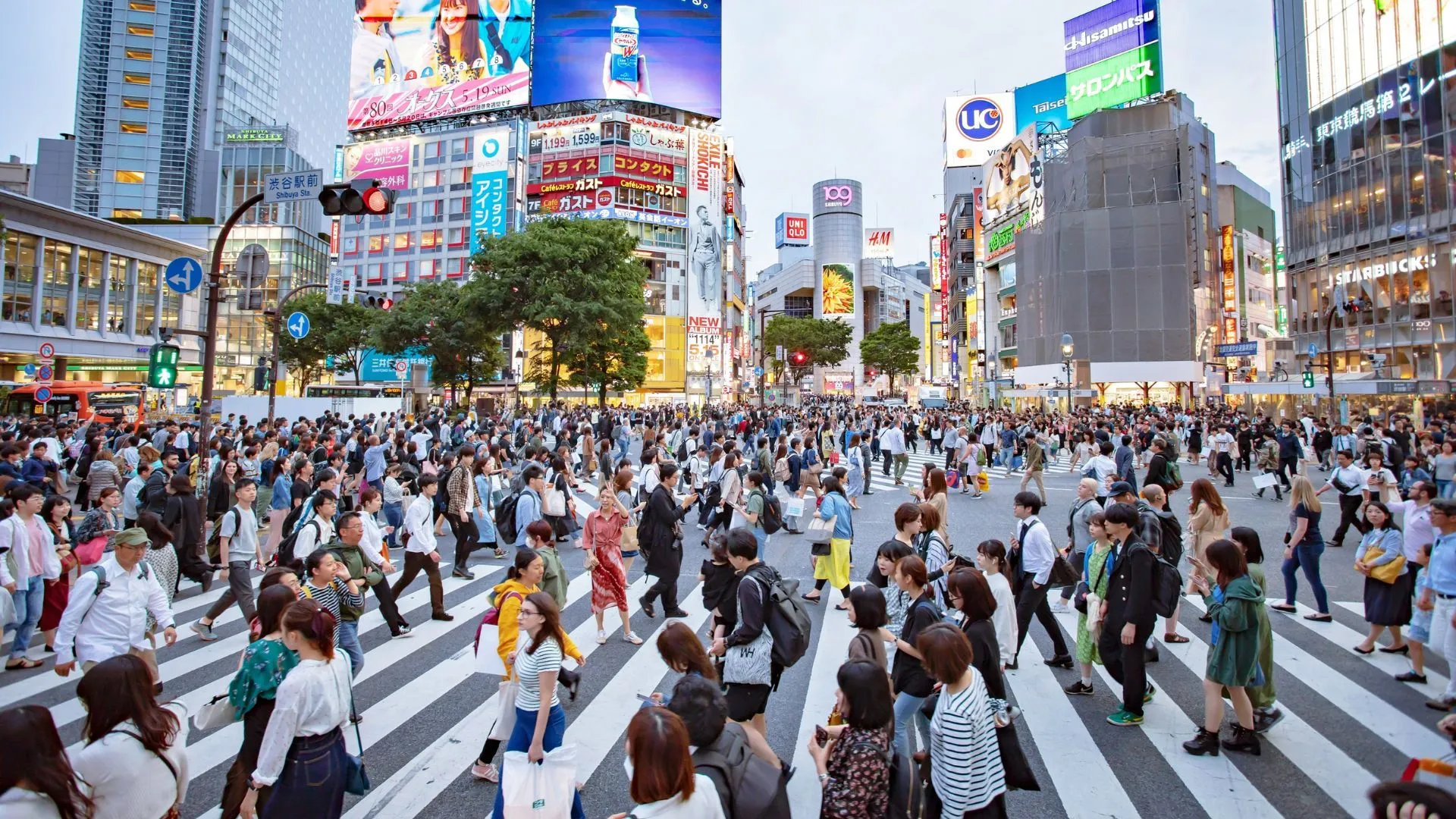 Tokyo đã đưa ra nhiều quy định nhằm hạn chế quá tải du lịch.