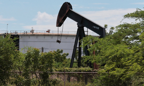 Các quỹ phòng hộ 