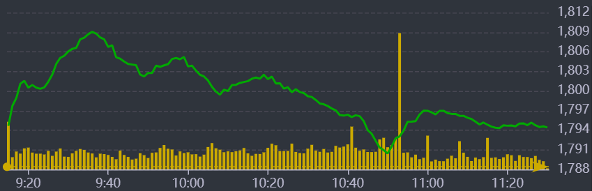 Diễn biến VN-Index sáng nay.