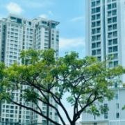 Quý 4/2025 xác lập kỷ lục mới về nguồn cung căn hộ tại Hà Nội và TP.Hồ Chí Minh