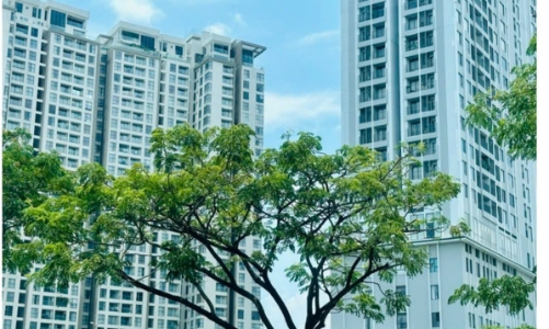 Quý 4/2025 xác lập kỷ lục mới về nguồn cung căn hộ tại Hà Nội và TP.Hồ Chí Minh