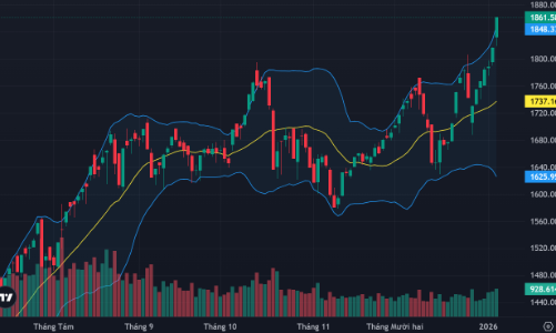 Loạt cổ phiếu lớn hợp sức kéo VN-Index tăng bùng nổ 2,49%, khối ngoại cũng đua giá